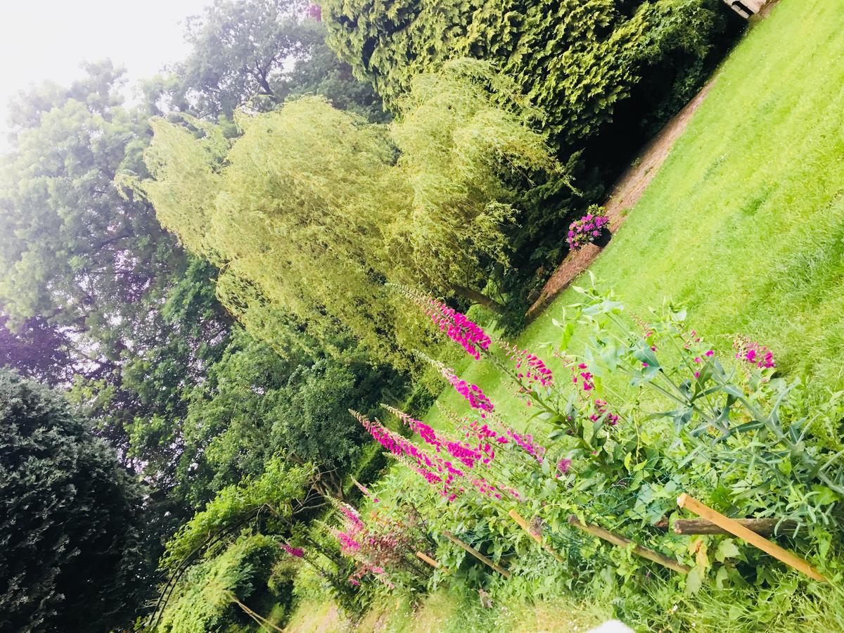 Le Plein Air Bed & Breakfast Saint-Etienne-au-Mont Bagian luar foto